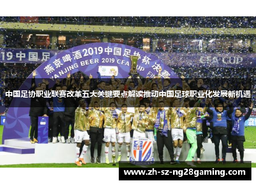 中国足协职业联赛改革五大关键要点解读推动中国足球职业化发展新机遇