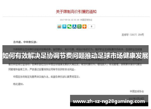 如何有效解决足协调节费问题推动足球市场健康发展 如何有效解决足协调节费问题推动足球市场健康发展