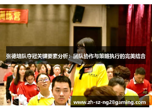 张德培队夺冠关键要素分析：团队协作与策略执行的完美结合