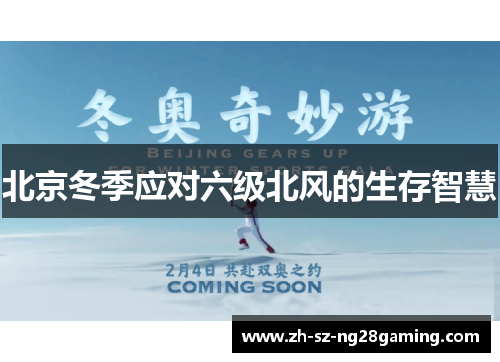 北京冬季应对六级北风的生存智慧