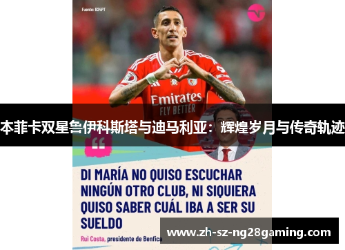 本菲卡双星鲁伊科斯塔与迪马利亚:辉煌岁月与传奇轨迹 本菲卡双星鲁伊科斯塔与迪马利亚:辉煌岁月与传奇轨迹