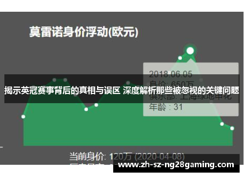 揭示英冠赛事背后的真相与误区 深度解析那些被忽视的关键问题