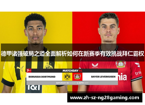 德甲诸强破局之道全面解析如何在新赛季有效挑战拜仁霸权