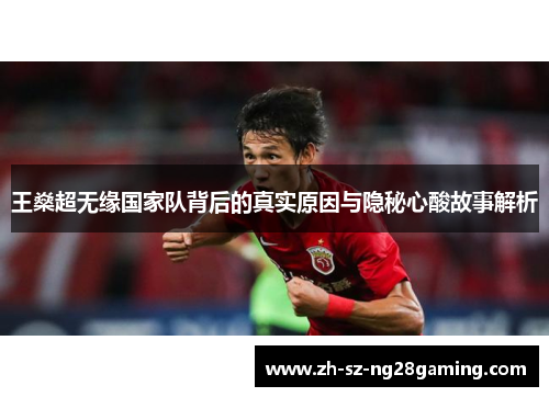王燊超无缘国家队背后的真实原因与隐秘心酸故事解析