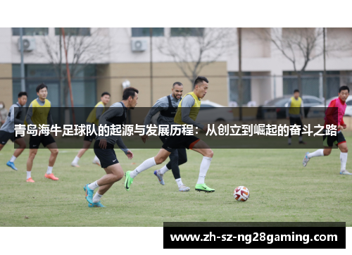 青岛海牛足球队的起源与发展历程：从创立到崛起的奋斗之路
