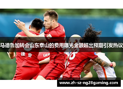 马德鲁加转会山东泰山的费用曝光金额超出预期引发热议 马德鲁加转会山东泰山的费用曝光金额超出预期引发热议