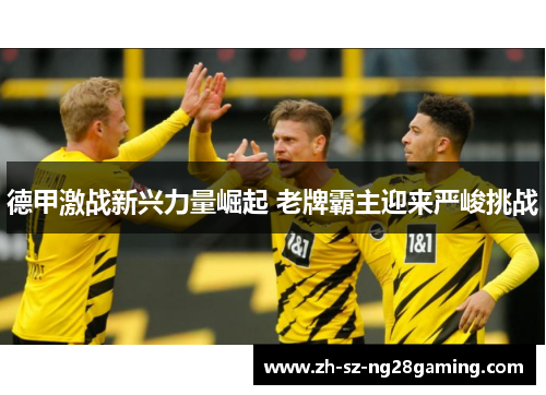 德甲激战新兴力量崛起 老牌霸主迎来严峻挑战 德甲激战新兴力量崛起 老牌霸主迎来严峻挑战