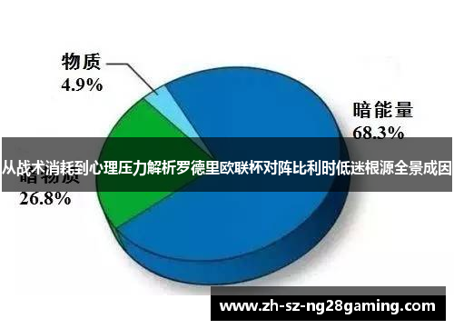 从战术消耗到心理压力解析罗德里欧联杯对阵比利时低迷根源全景成因