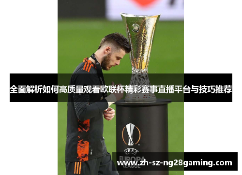 全面解析如何高质量观看欧联杯精彩赛事直播平台与技巧推荐