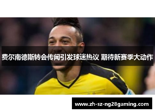 费尔南德斯转会传闻引发球迷热议 期待新赛季大动作