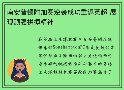 南安普顿附加赛逆袭成功重返英超 展现顽强拼搏精神